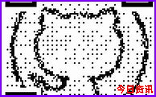 虹桥附近有什么好玩的景点